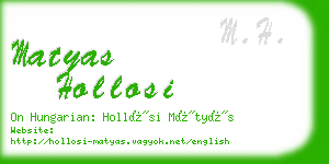 matyas hollosi business card